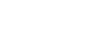 N Service Auto Repair and Service Logo